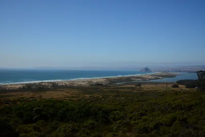 DSC_2547 (Large).JPG